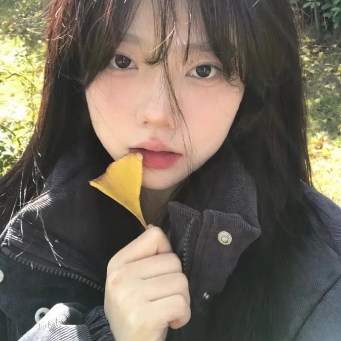 埃丽卡